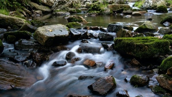 Classical Poetry: Read poems inspired by Beethoven's 'Scene by the Brook'