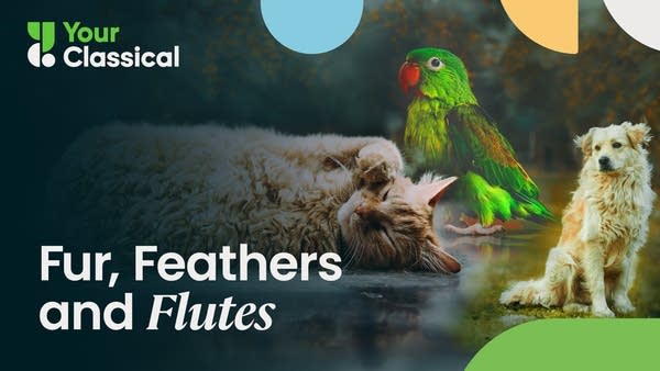 Poster Fur, Feathers and Flutes 3